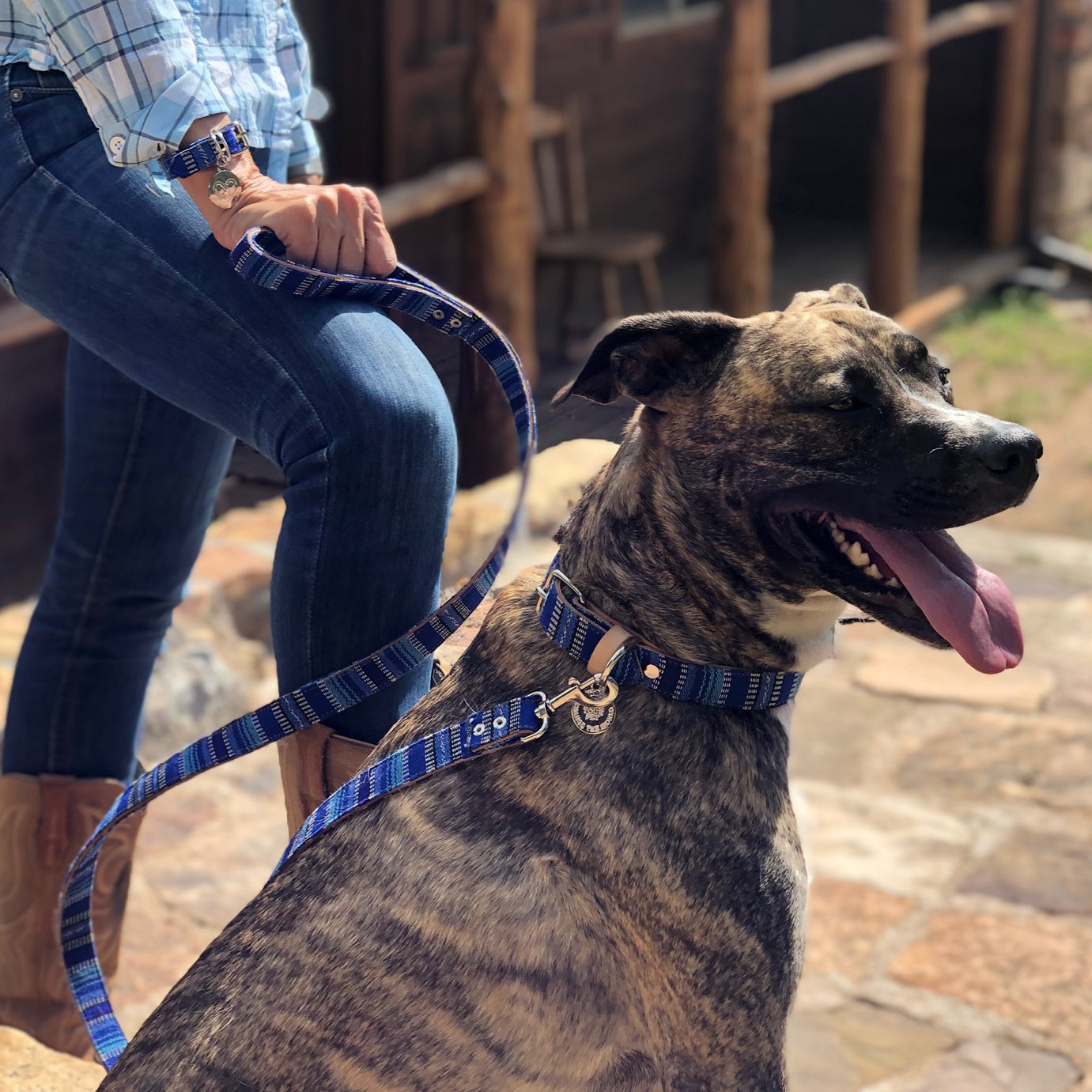PEHT Launches Essential Oil-Based Pet Grooming Products