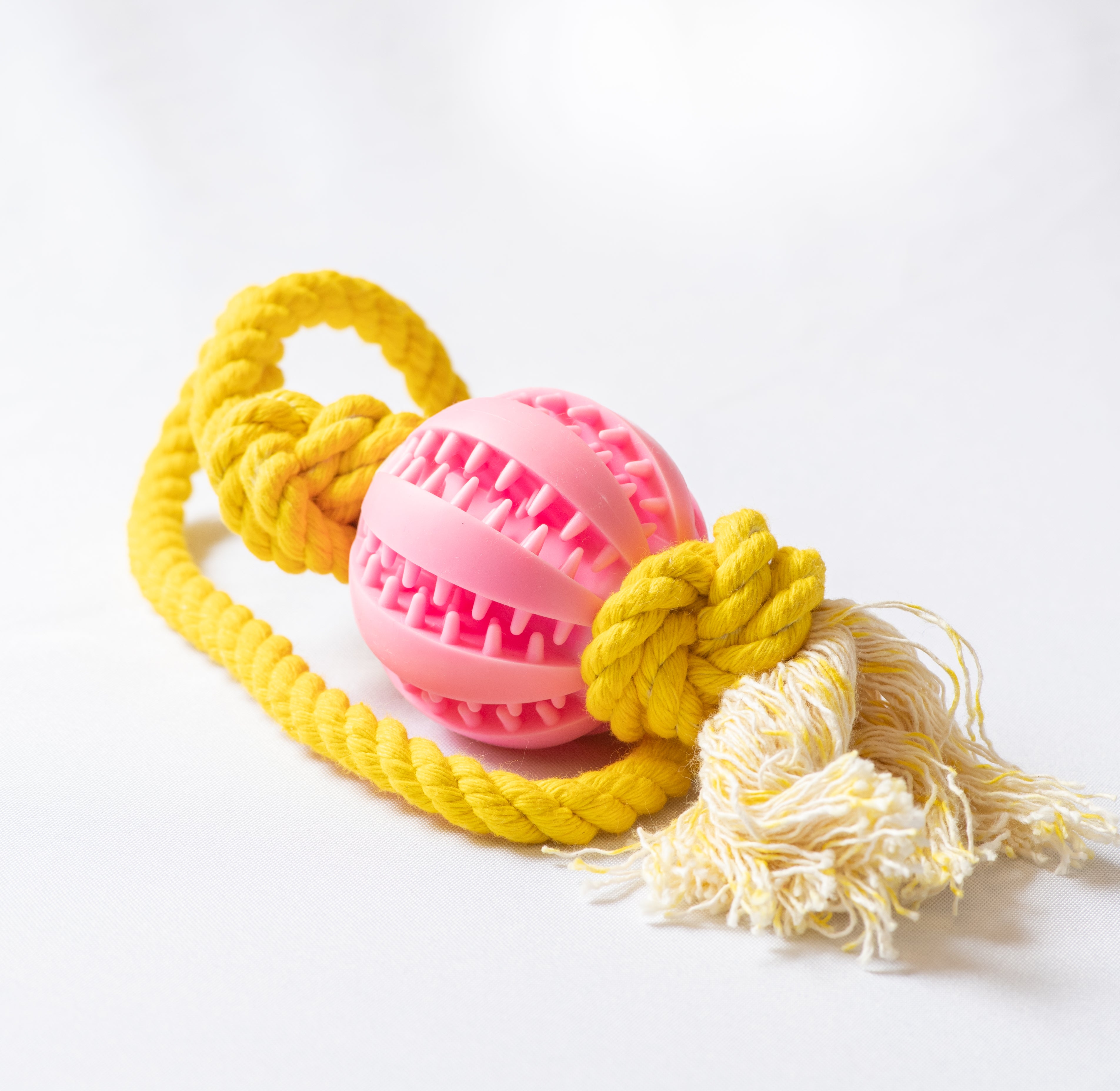 Treat Tug and Treat Throw Toy