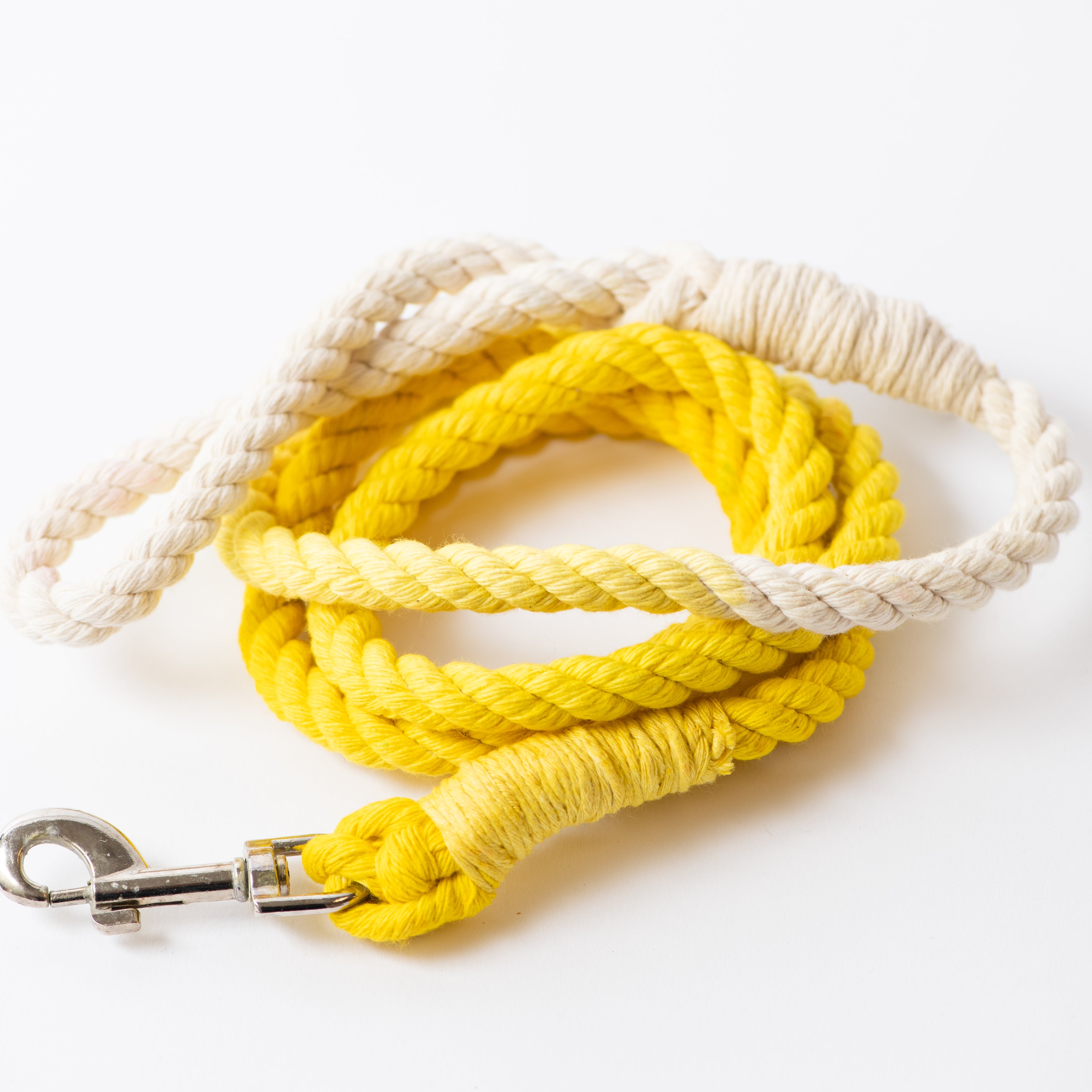 The Ombre Leash