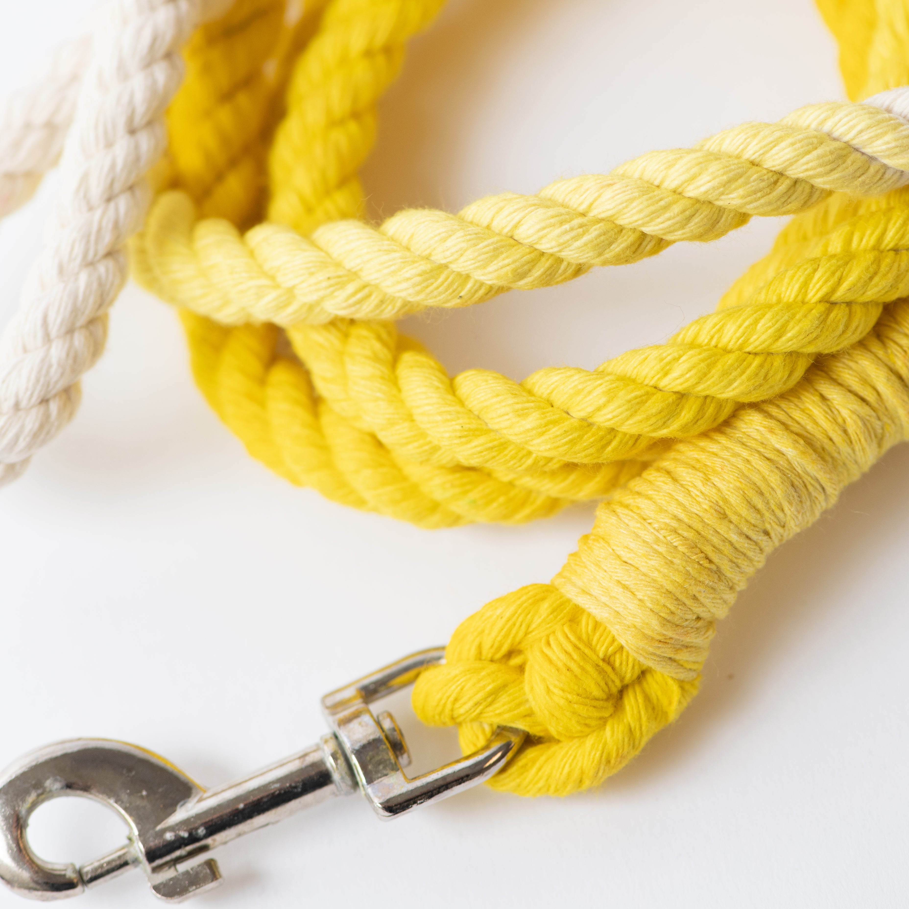 The Ombre Leash