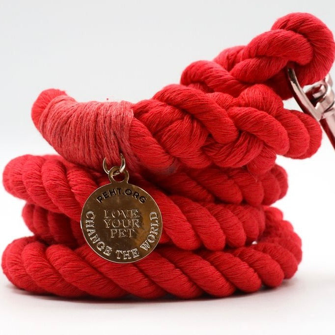 The Solid Leash