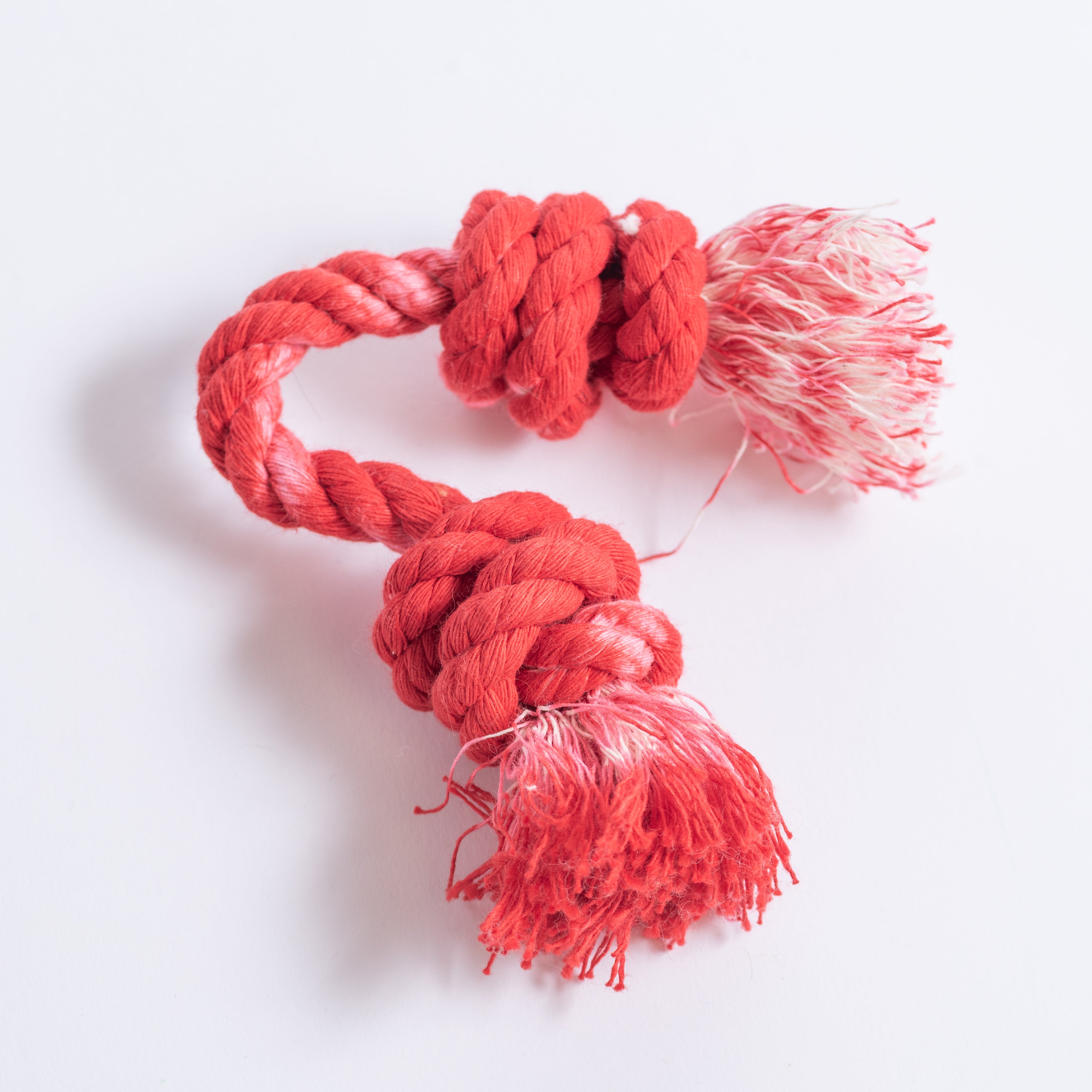 The Double Knotted Dog Toy