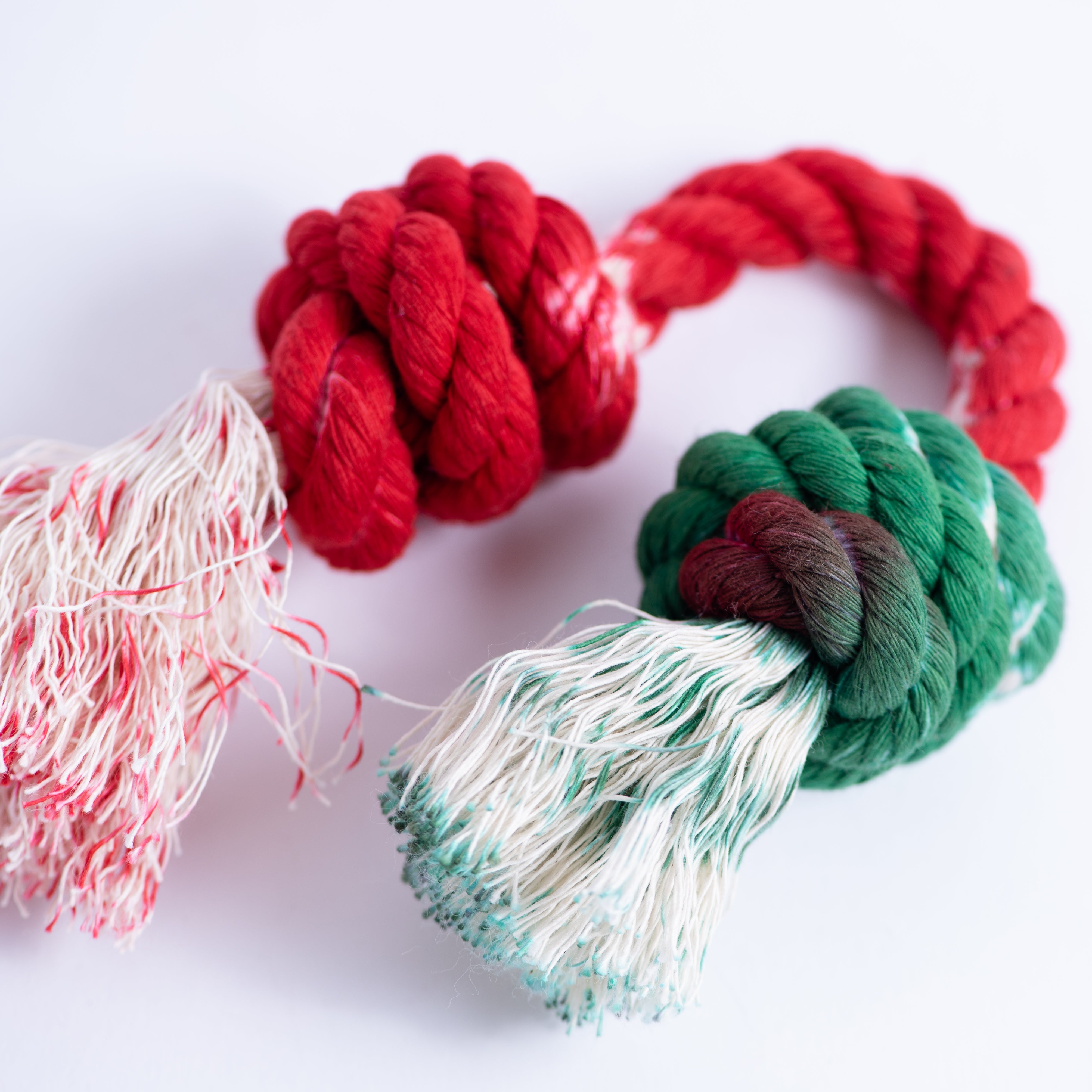 The Double Knotted Dog Toy