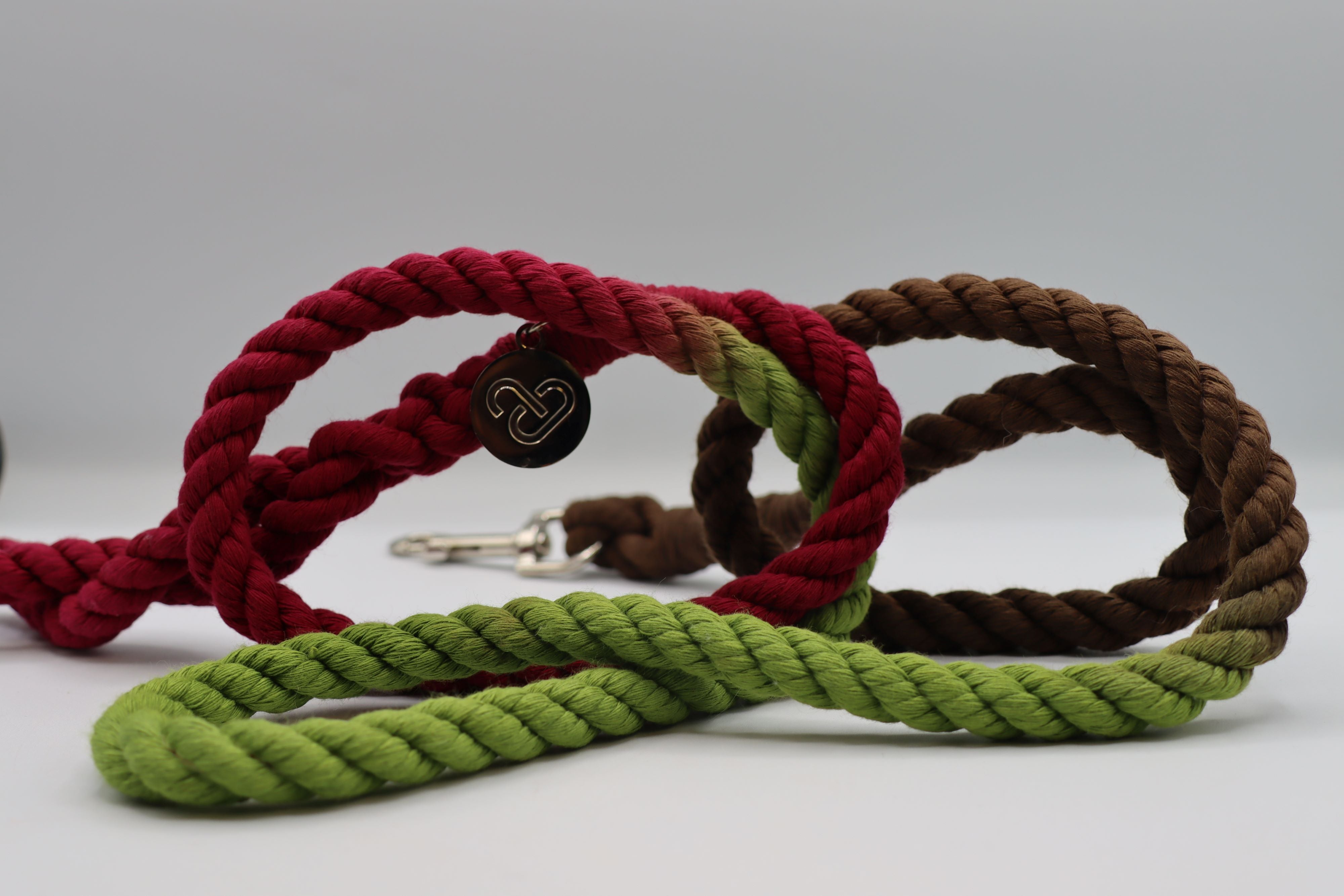 Multi Colored Leashes