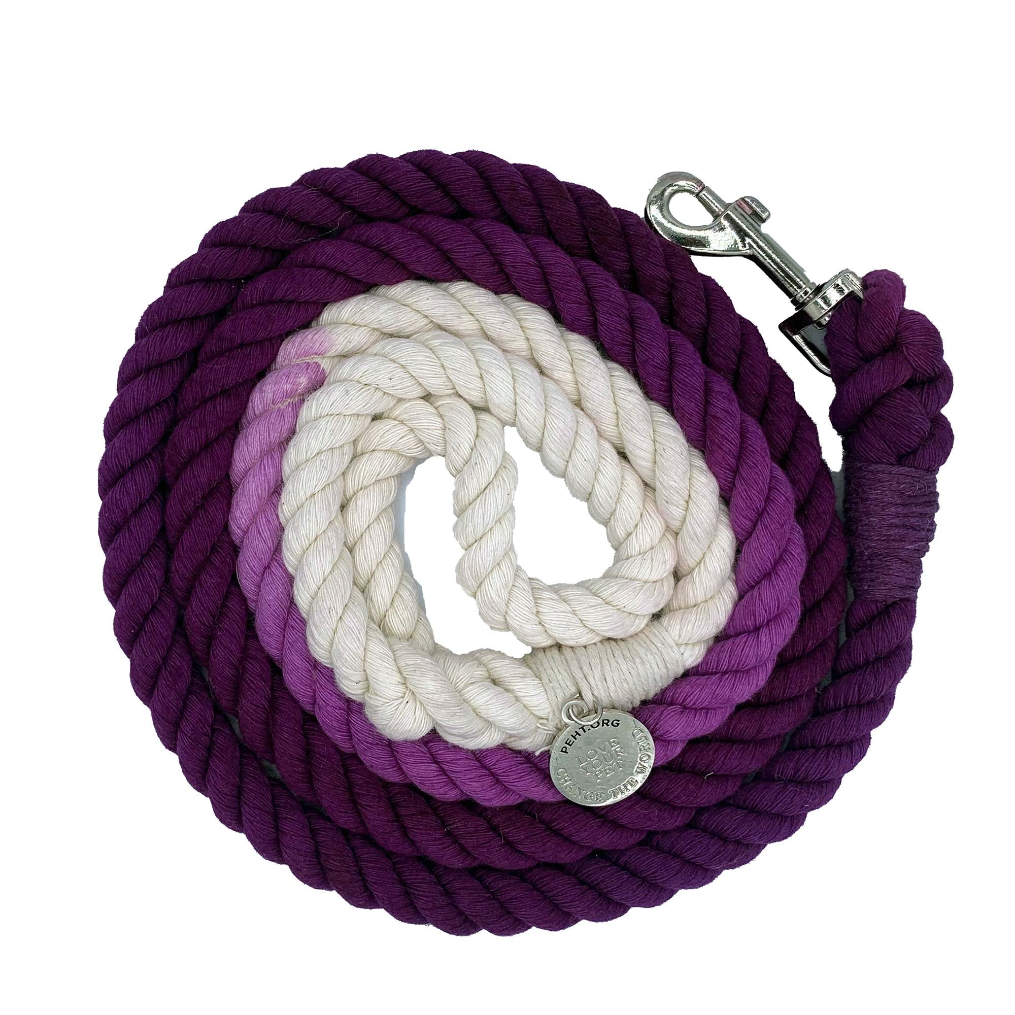 Ombre Color Leash