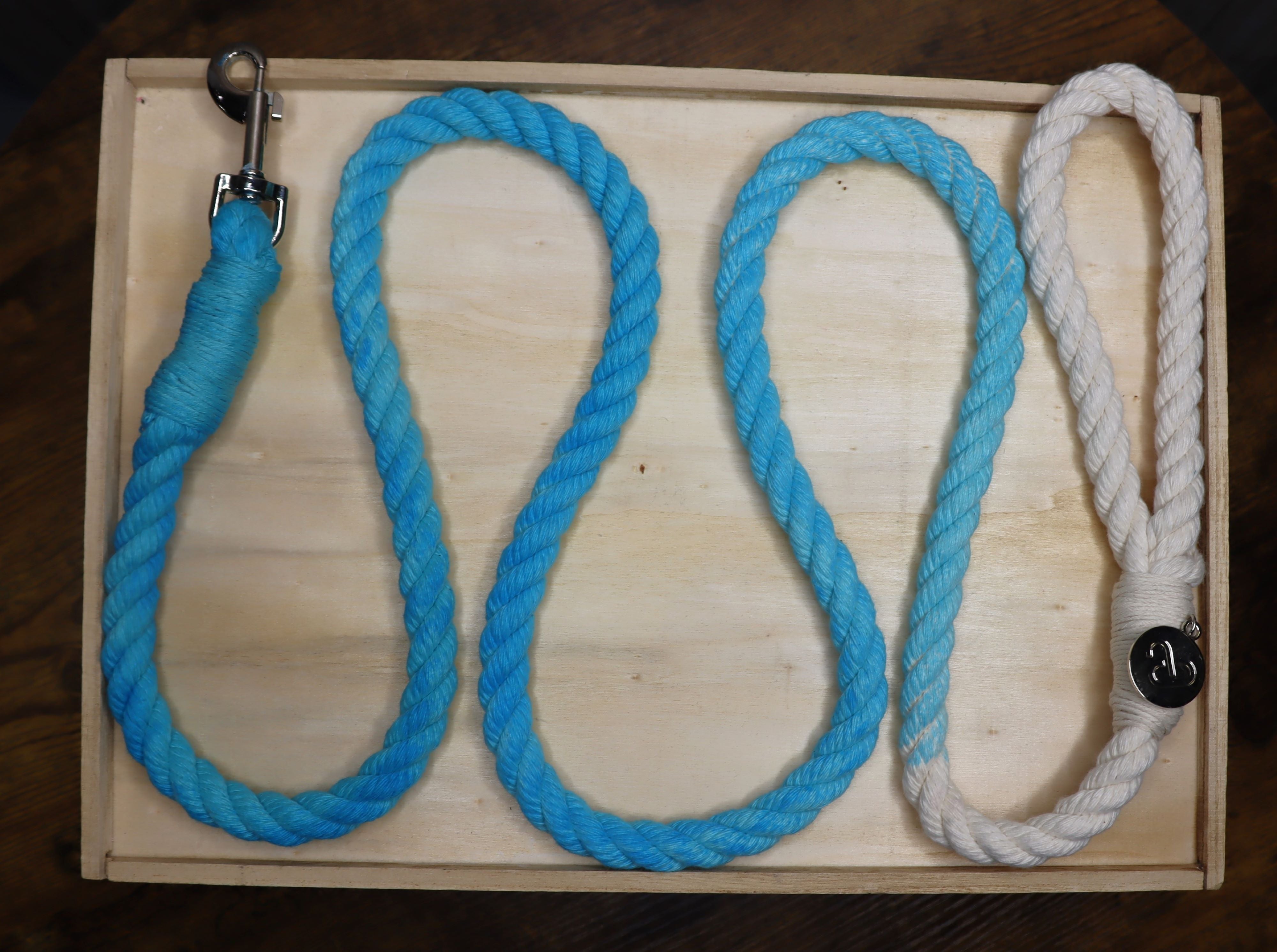 Ombre Color Leash