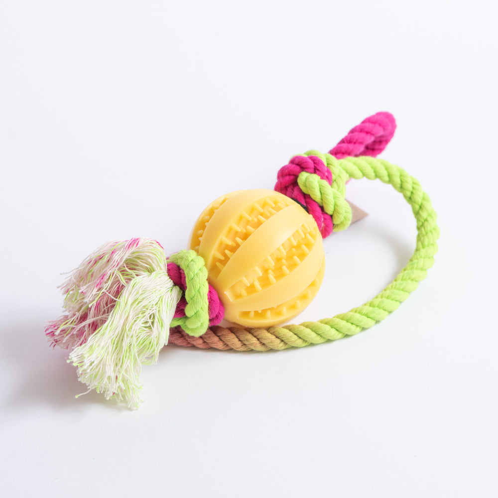 Deep Throw Toy Treat Tug and Treat Throw Toy