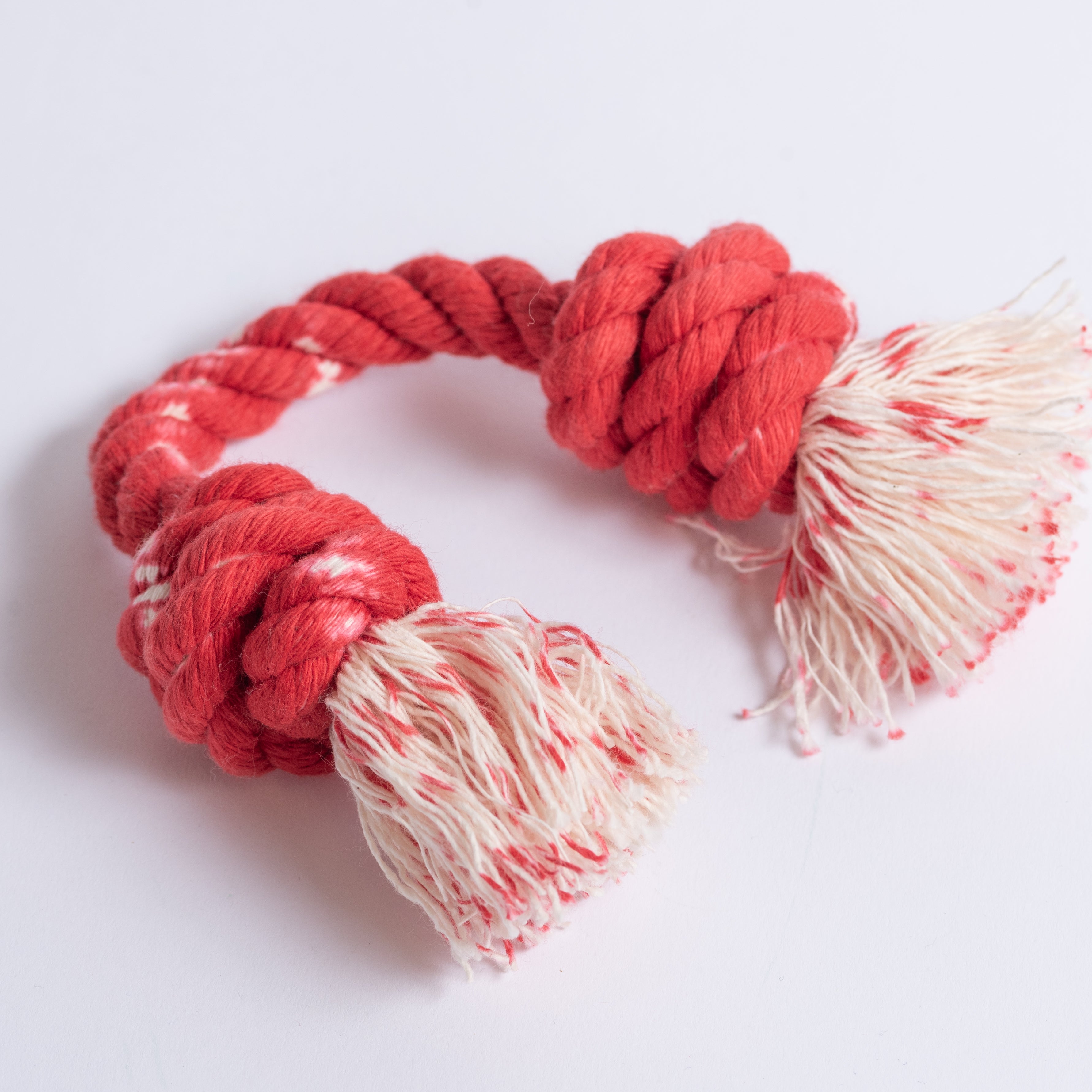 The Double Knotted Dog Toy