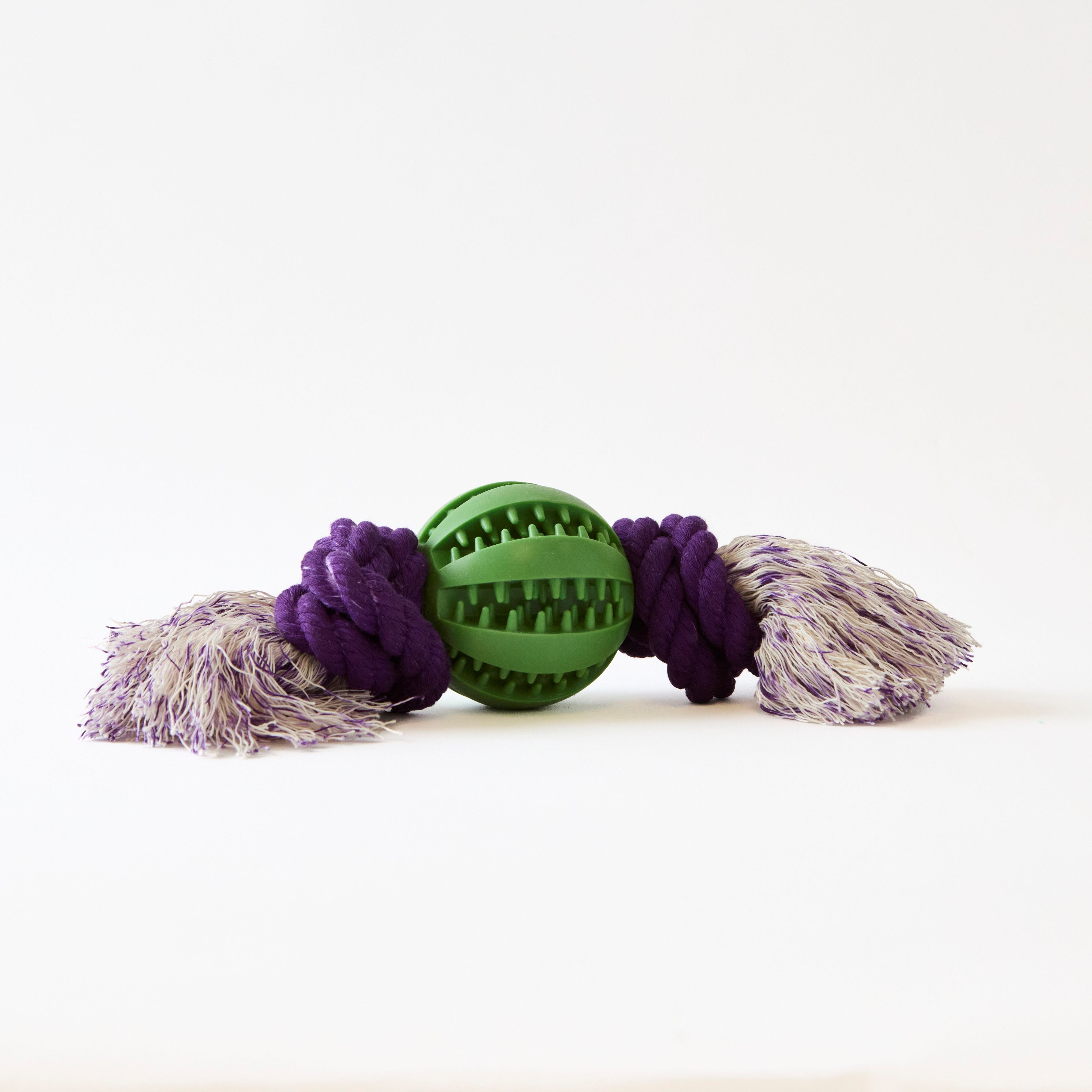 Treat Tug and Treat Throw Toy