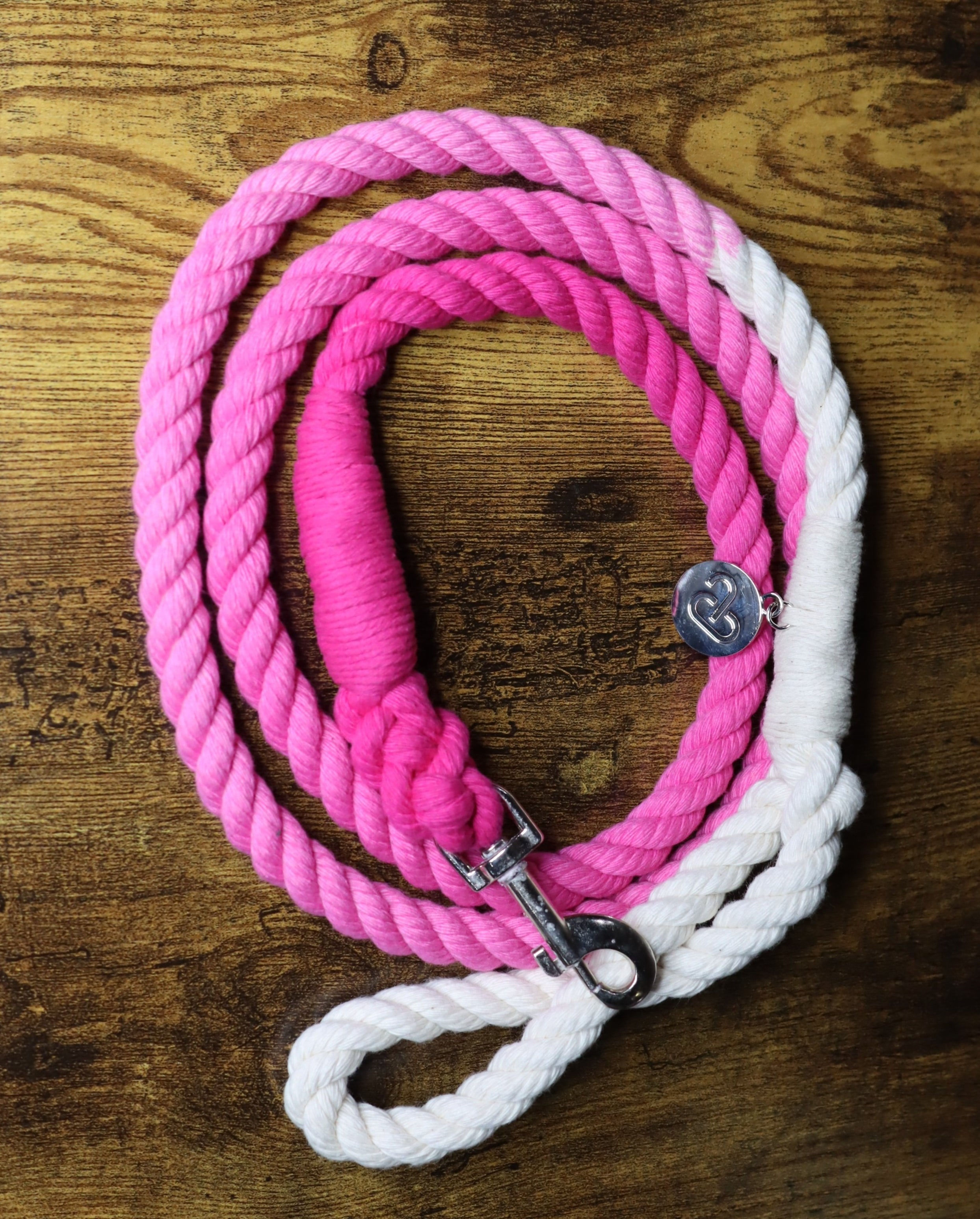 Ombre Color Leash