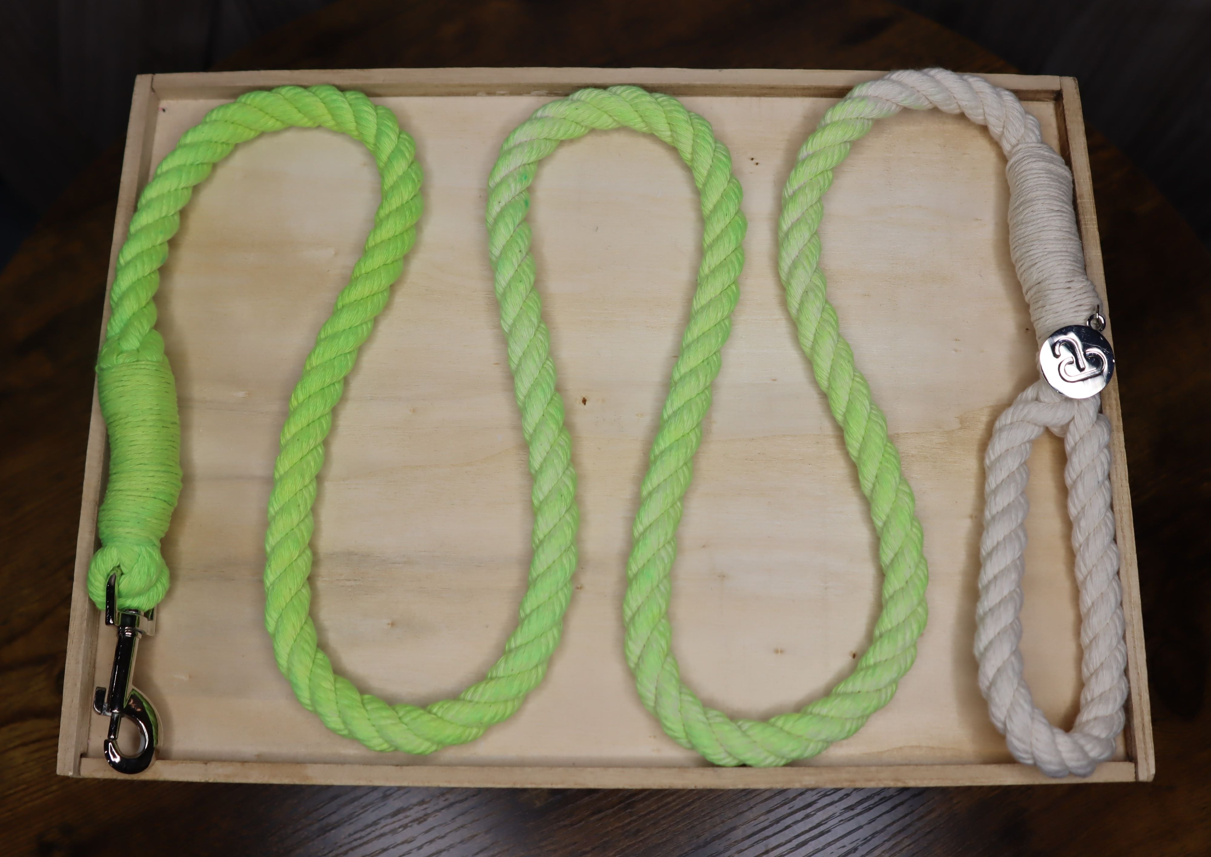 Ombre Color Leash