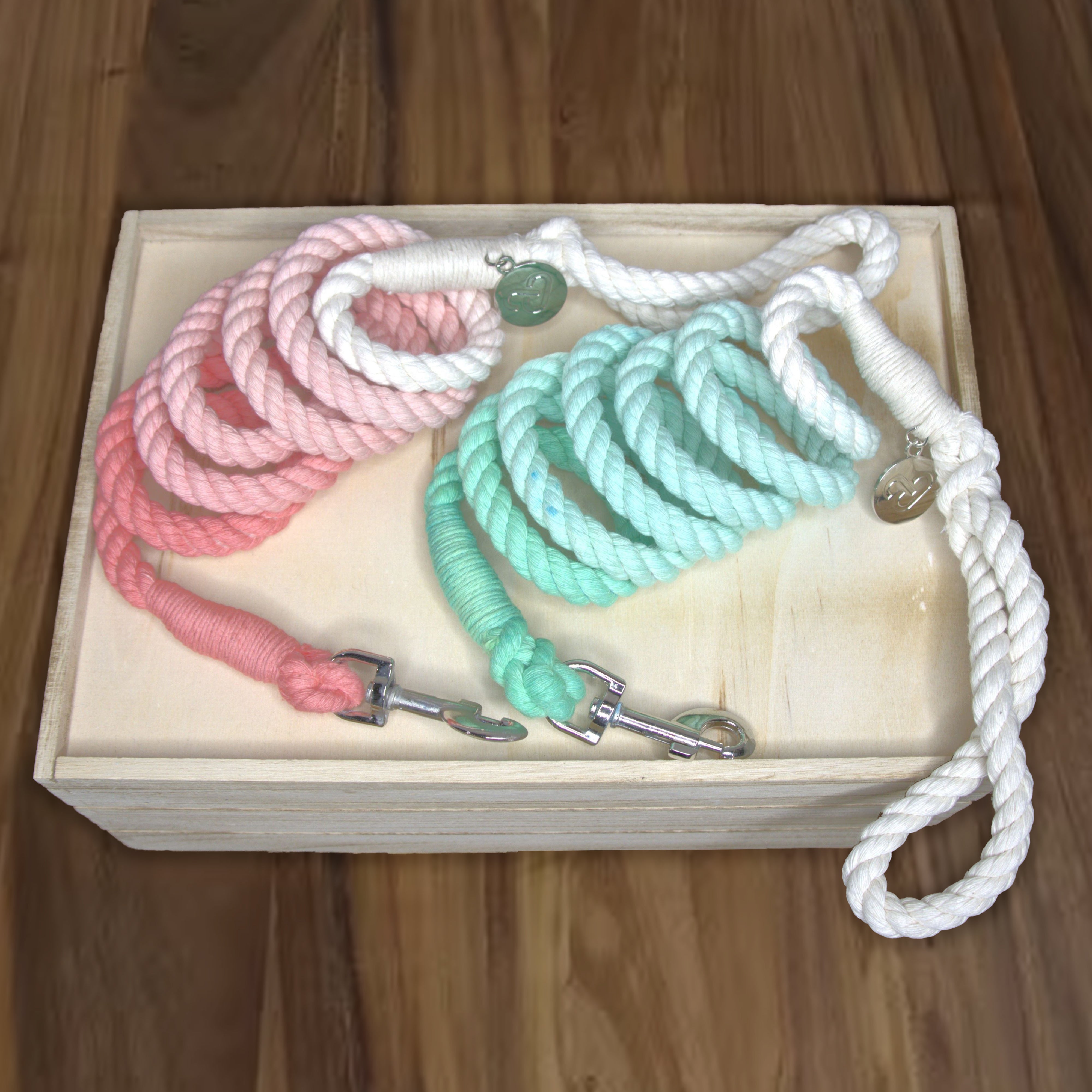 Ombre Color Leash - Thinner