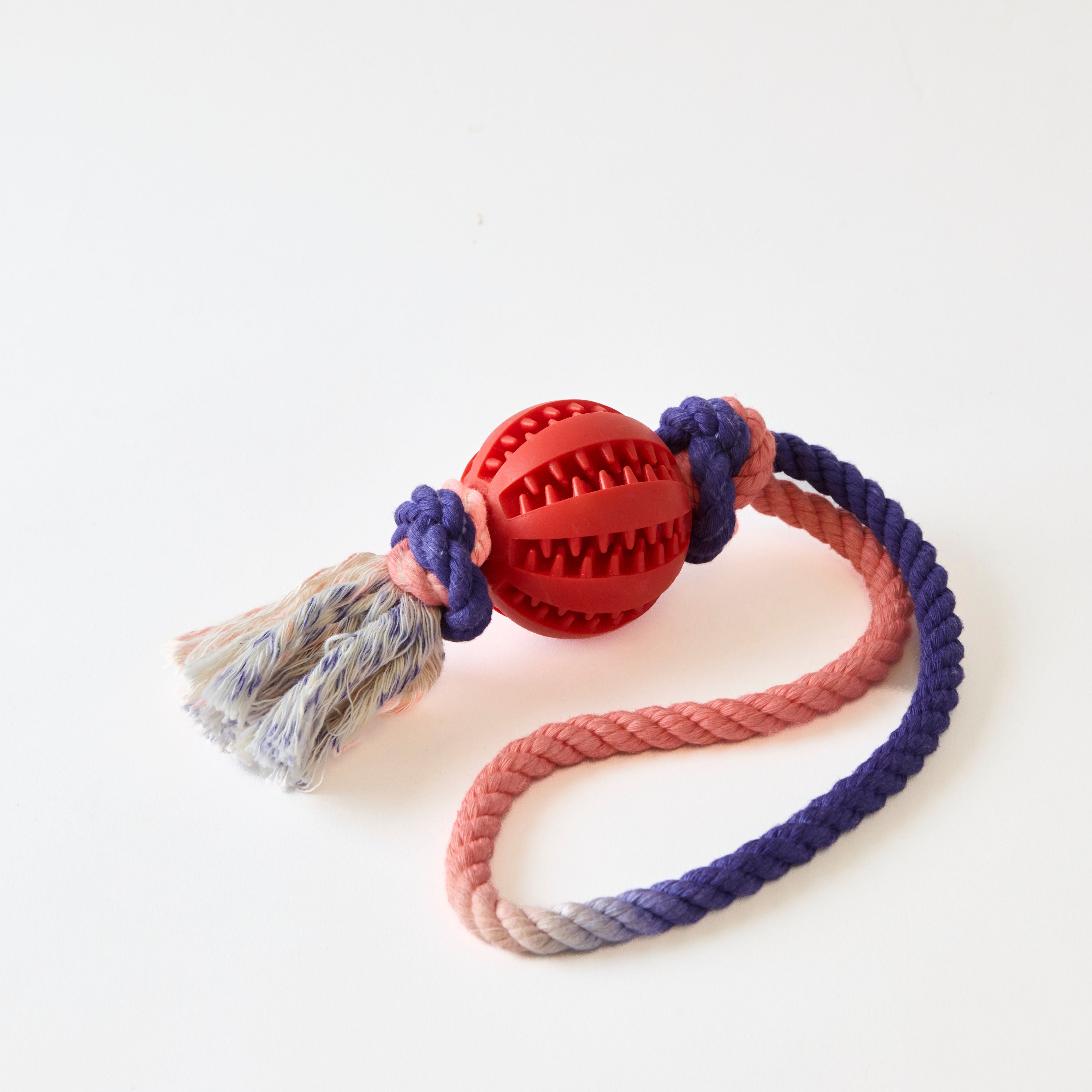 Treat Tug and Treat Throw Toy
