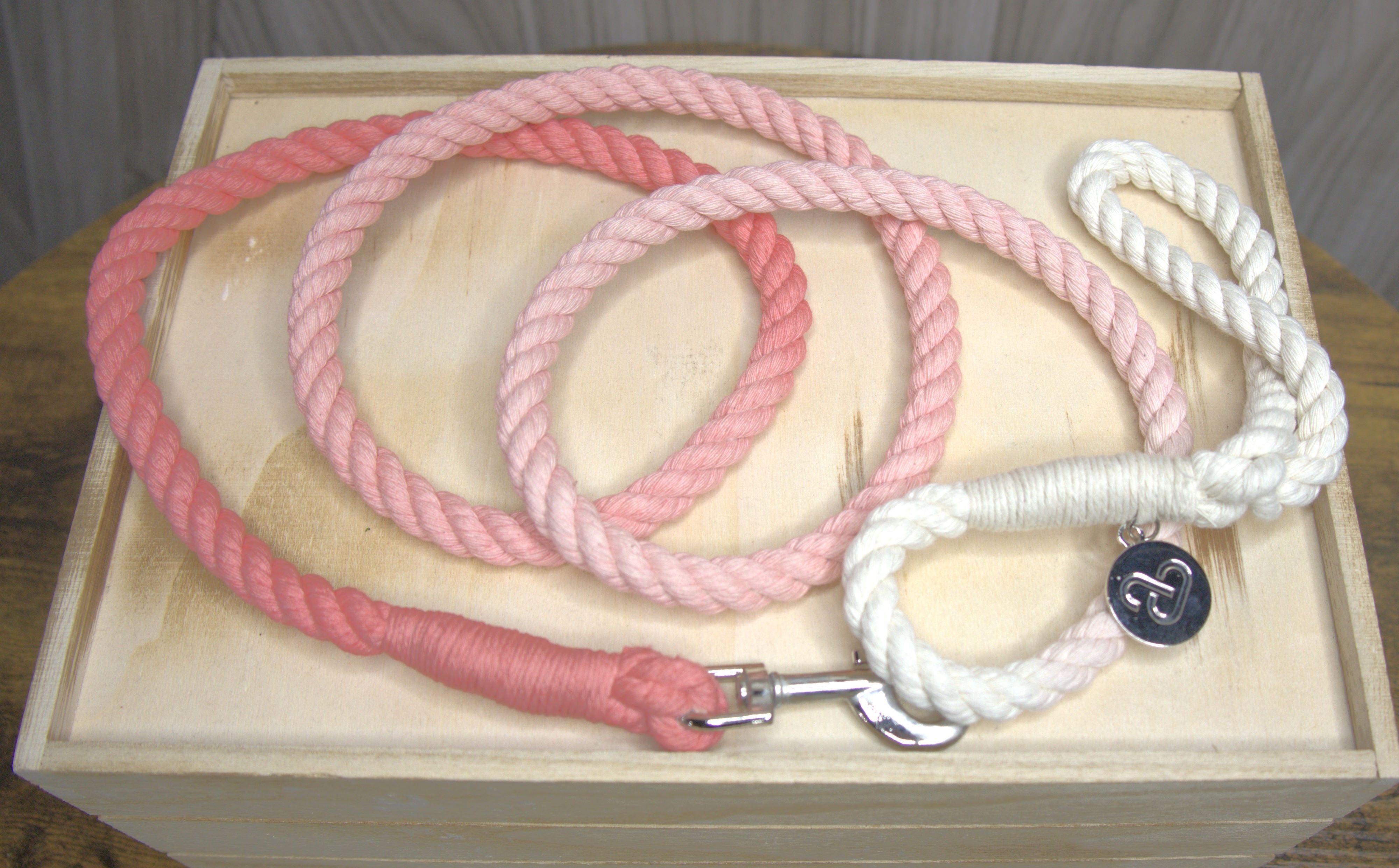 Ombre Color Leash - Thinner